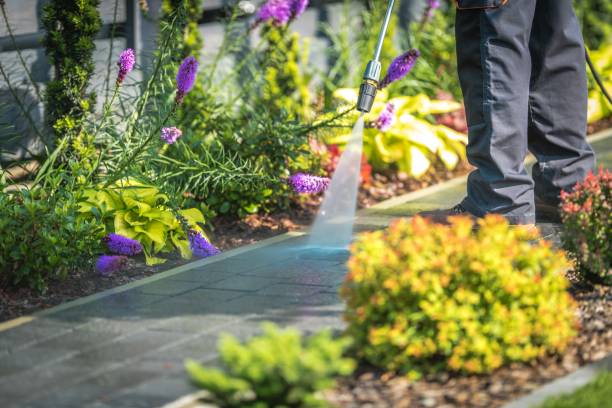 Best Gutter Cleaning  in Mayfield, OH